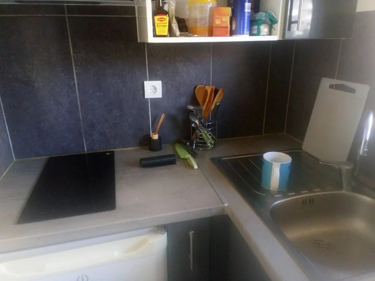 Condo In A Private Residence With Pool نيس